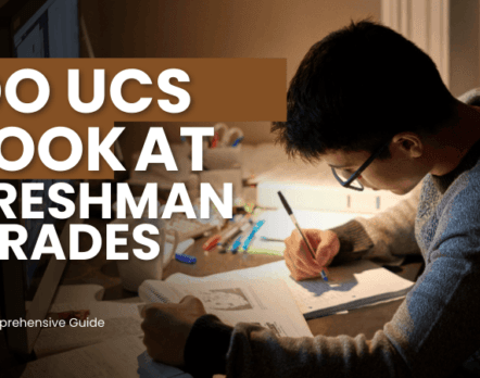 High school student studying at a desk, preparing for university admissions